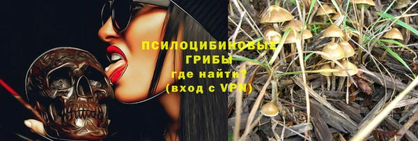 ГАЛЛЮЦИНОГЕННЫЕ ГРИБЫ Алексин