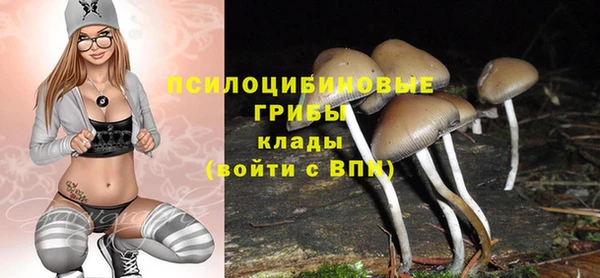 дмт Алзамай