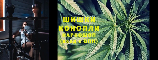 дмт Алзамай