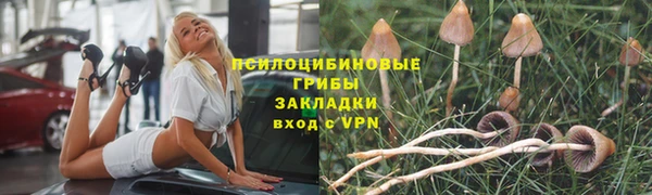 дмт Алзамай