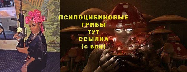 ГАЛЛЮЦИНОГЕННЫЕ ГРИБЫ Алексин
